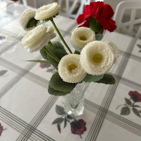 Bela Vista Apartamento Estoril Cascais Zewnętrze zdjęcie