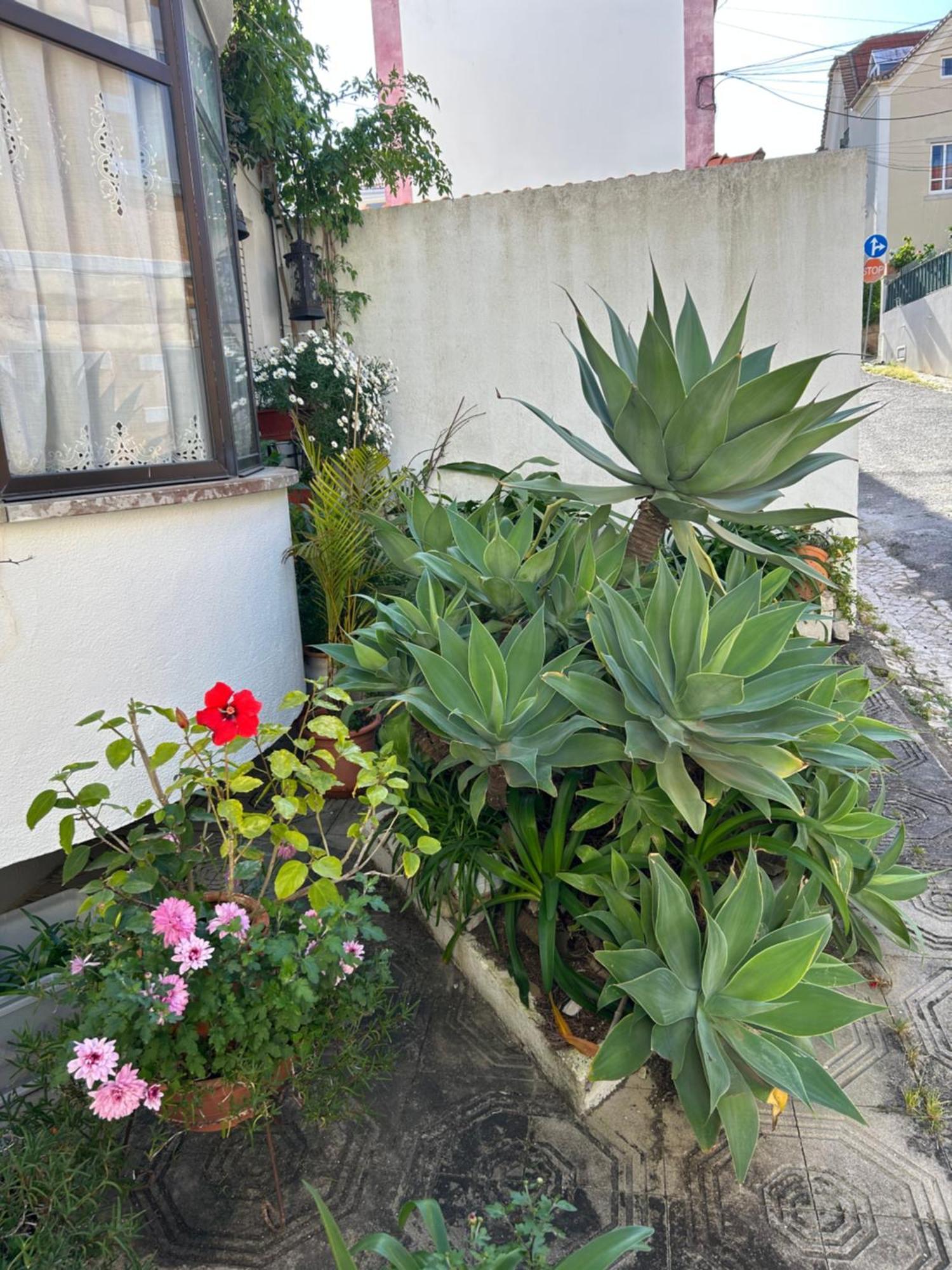 Bela Vista Apartamento Estoril Cascais Zewnętrze zdjęcie